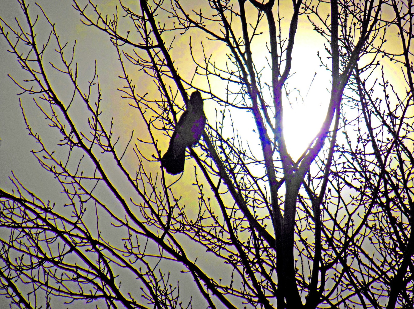 Иллюстрация к публикации