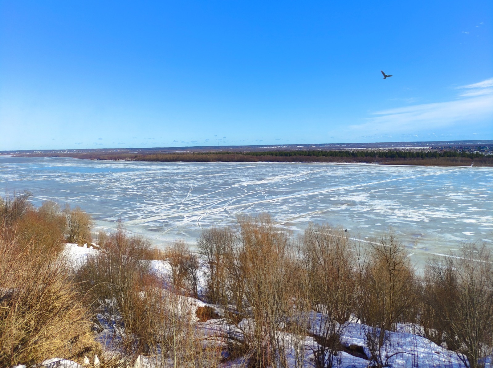 Иллюстрация к публикации