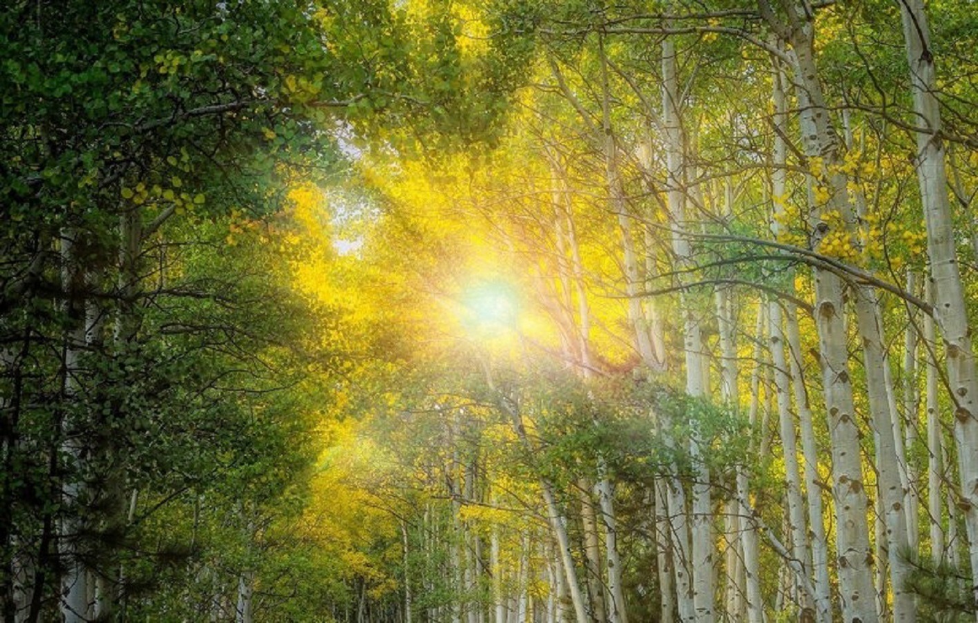 Иллюстрация к публикации