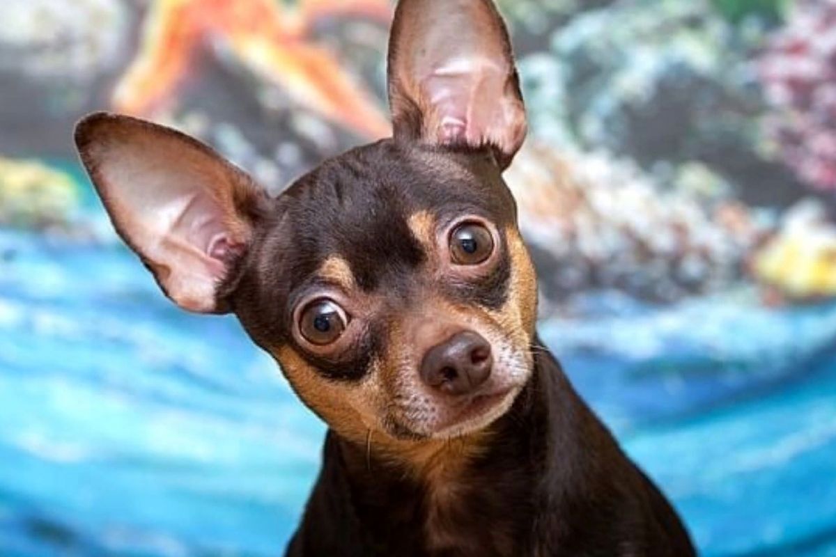 Иллюстрация к публикации