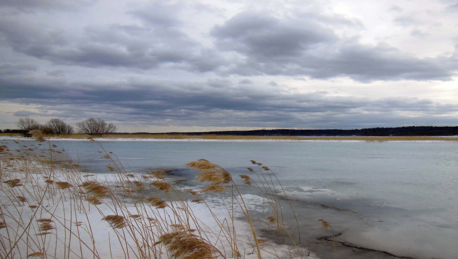 Иллюстрация к публикации