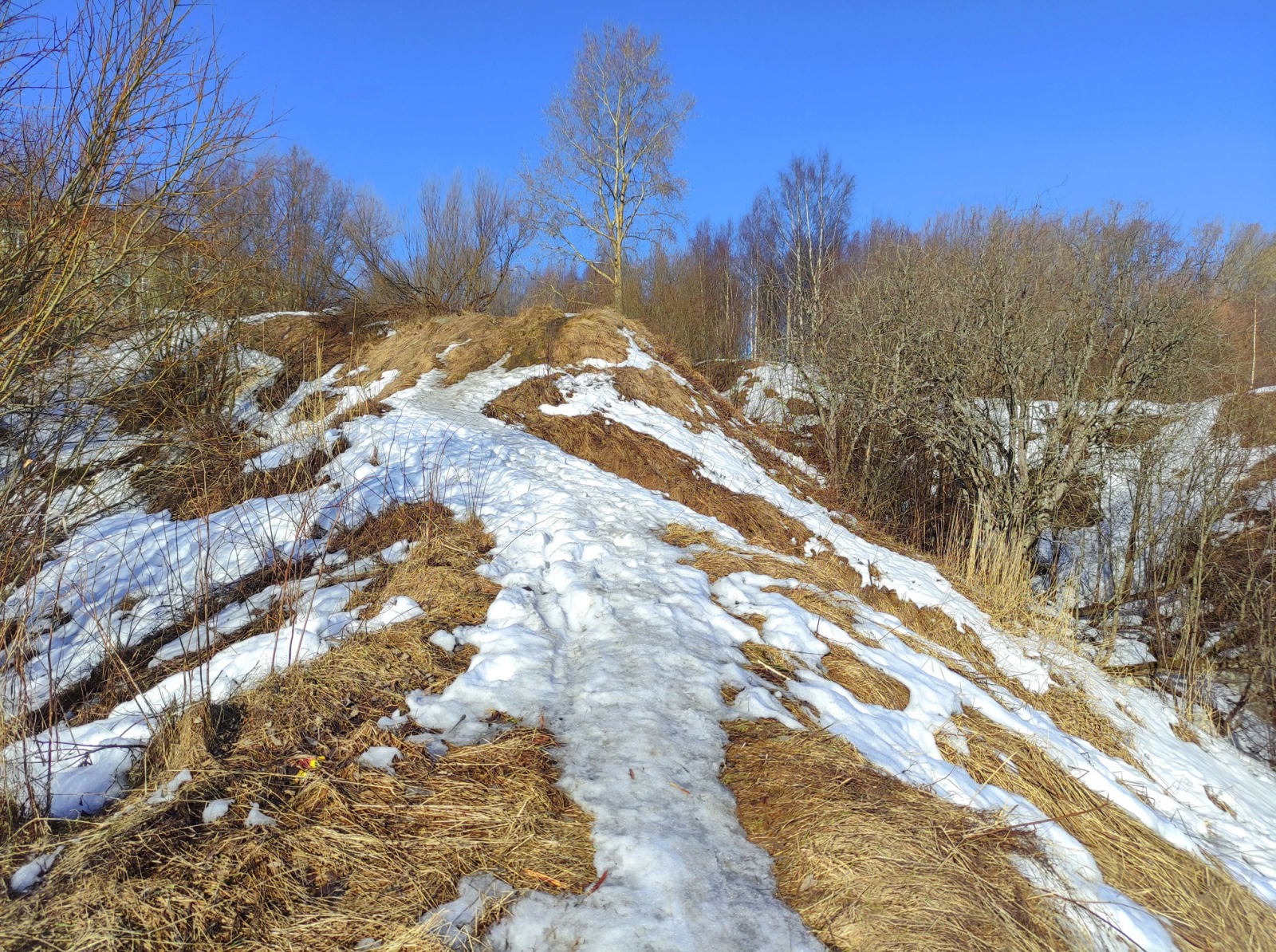 Иллюстрация к публикации