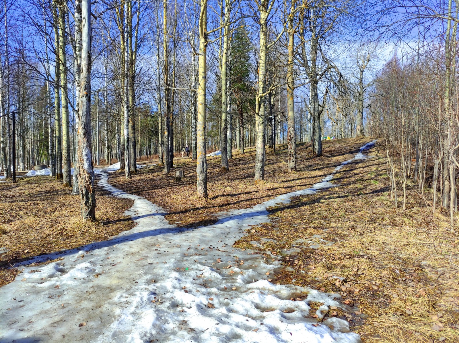 Иллюстрация к публикации