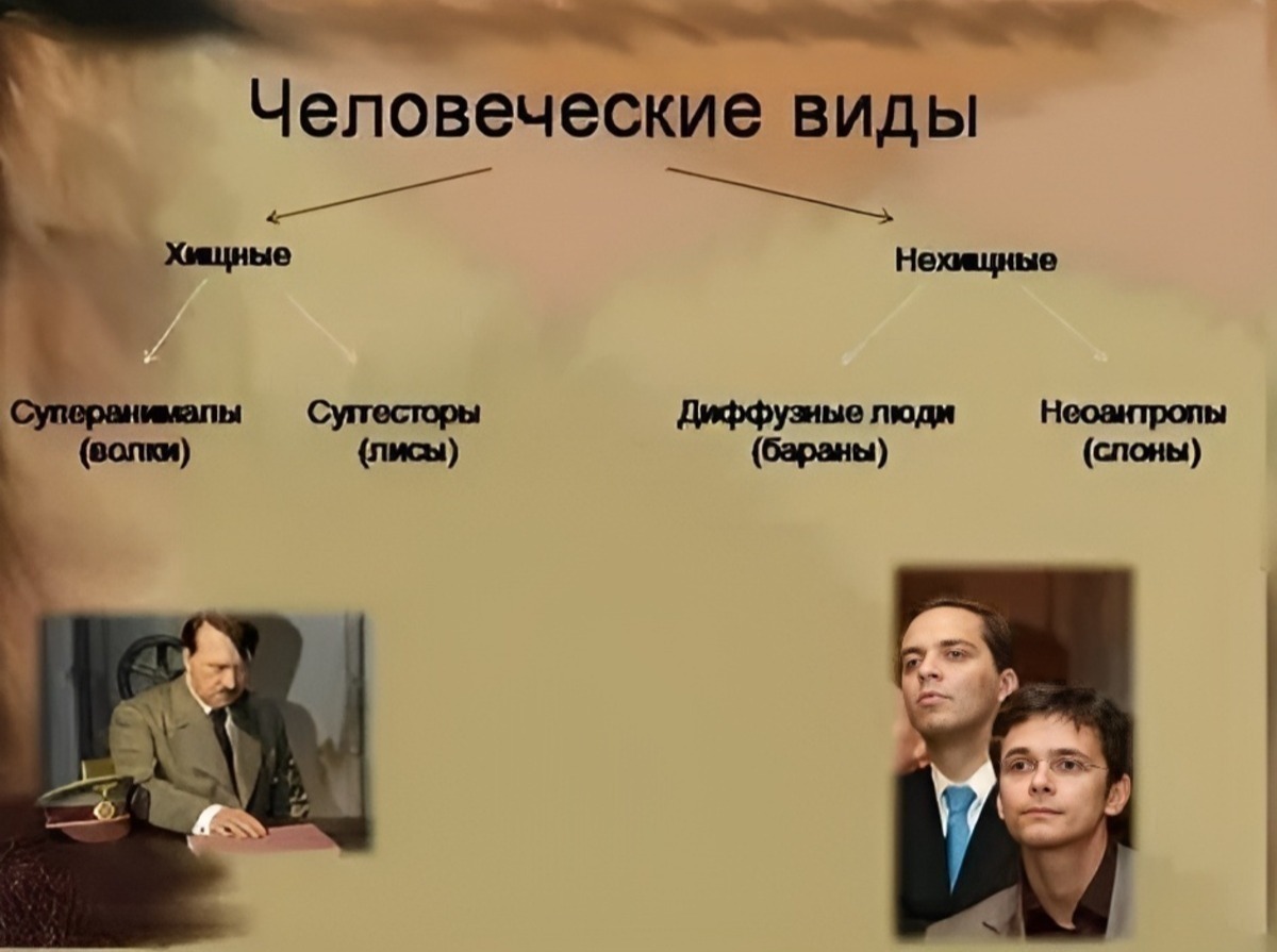 Иллюстрация к публикации