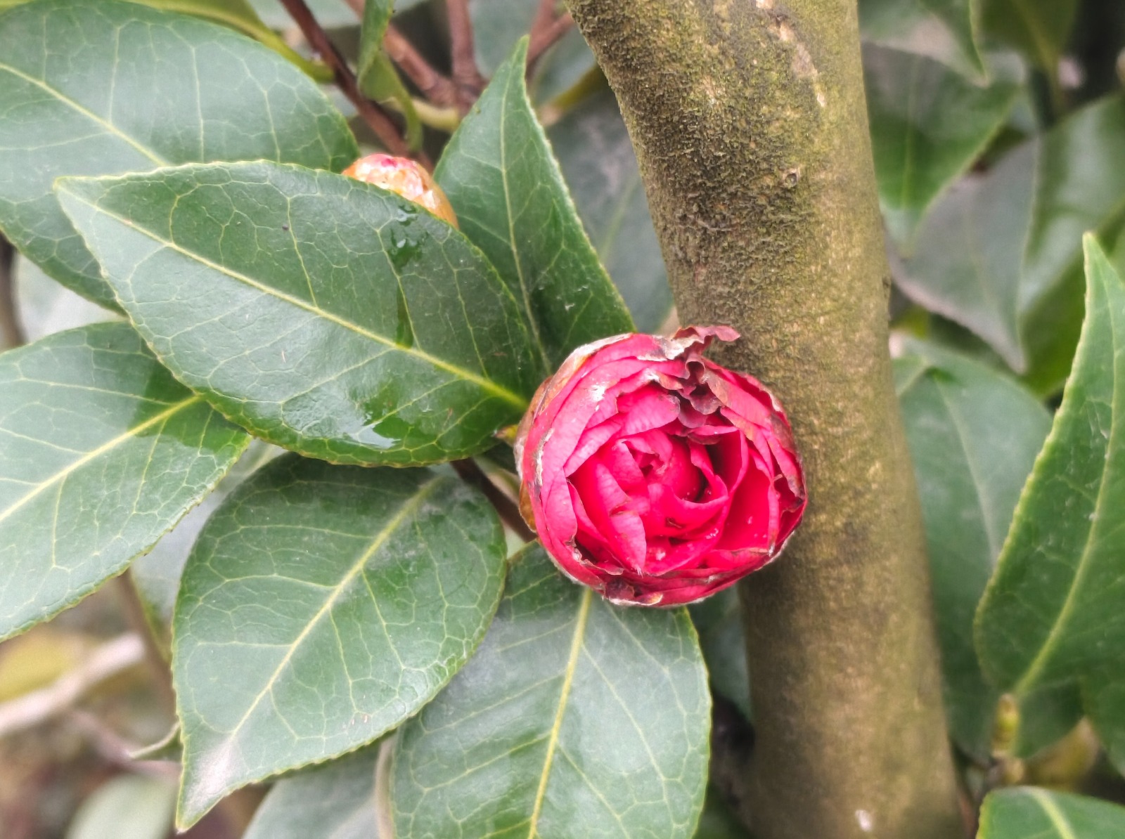 Иллюстрация к публикации