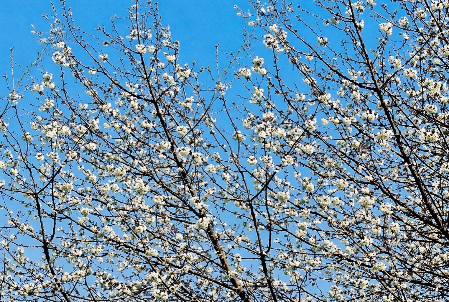 Иллюстрация к публикации