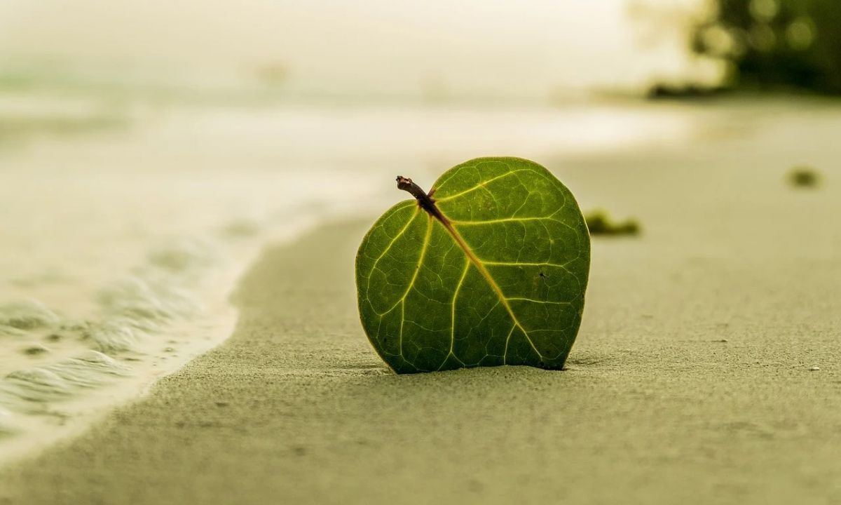 Иллюстрация к публикации