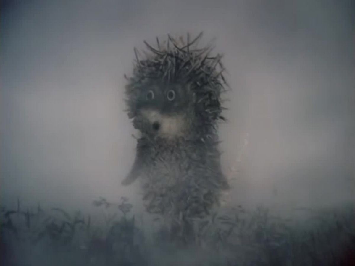 Иллюстрация к публикации