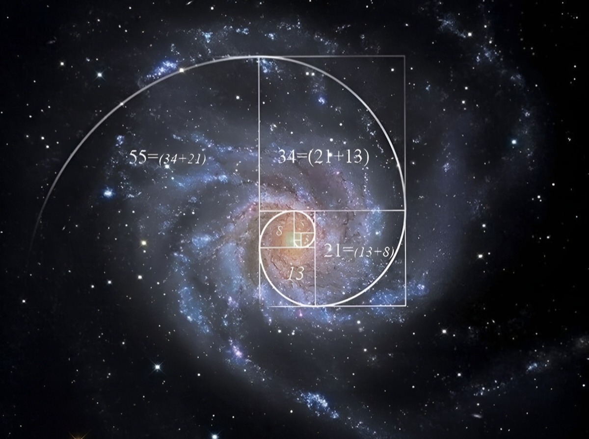 2189609-9879