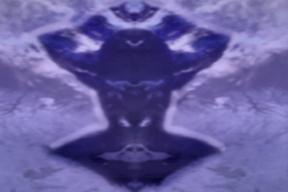 2193623-8527