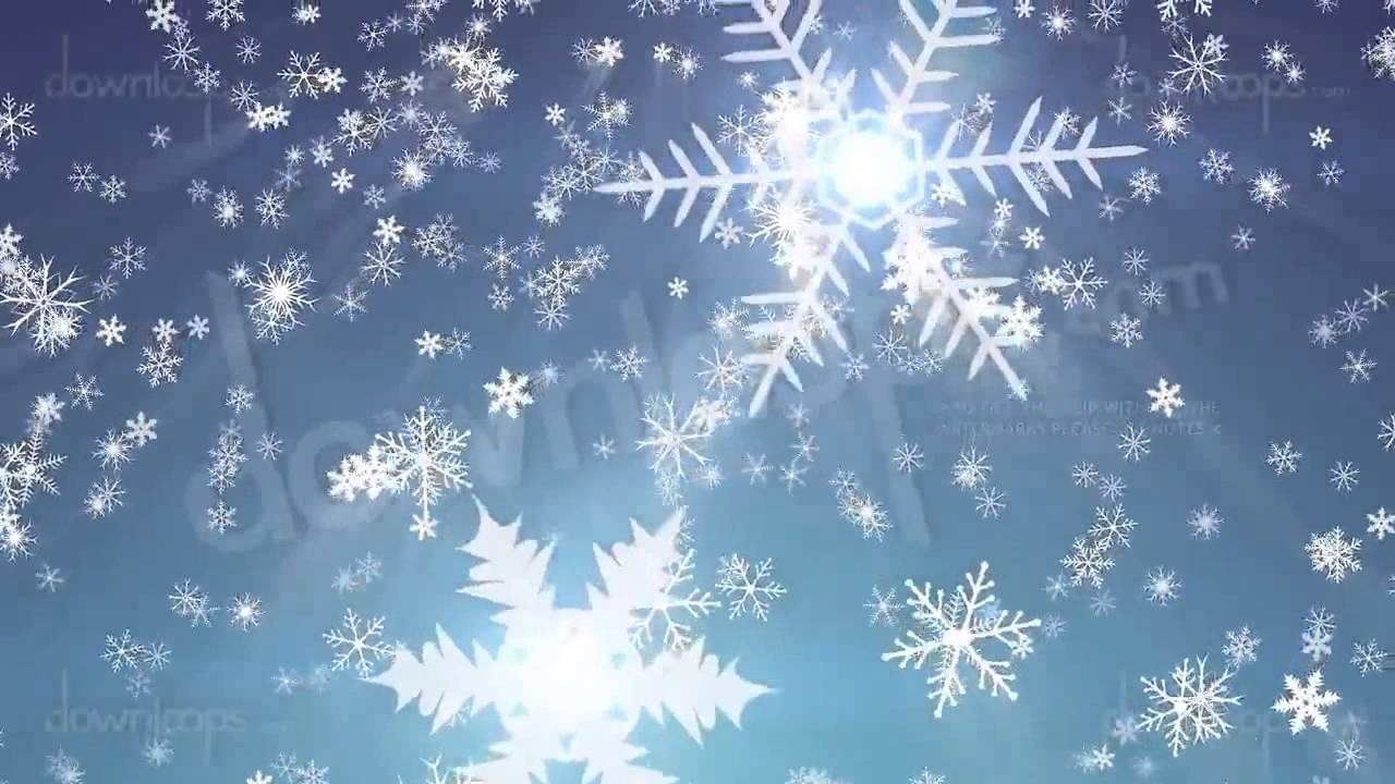 2198858-4916