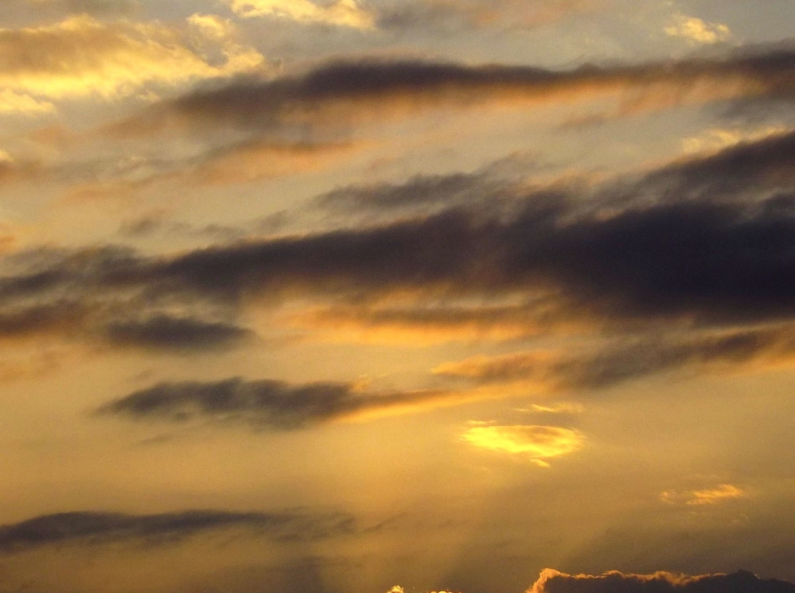 2201236-4934
