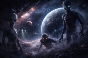2202364-8251