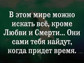 2213088-0838