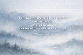 2217085-2919