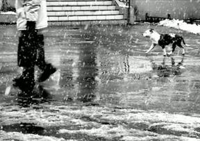 blob