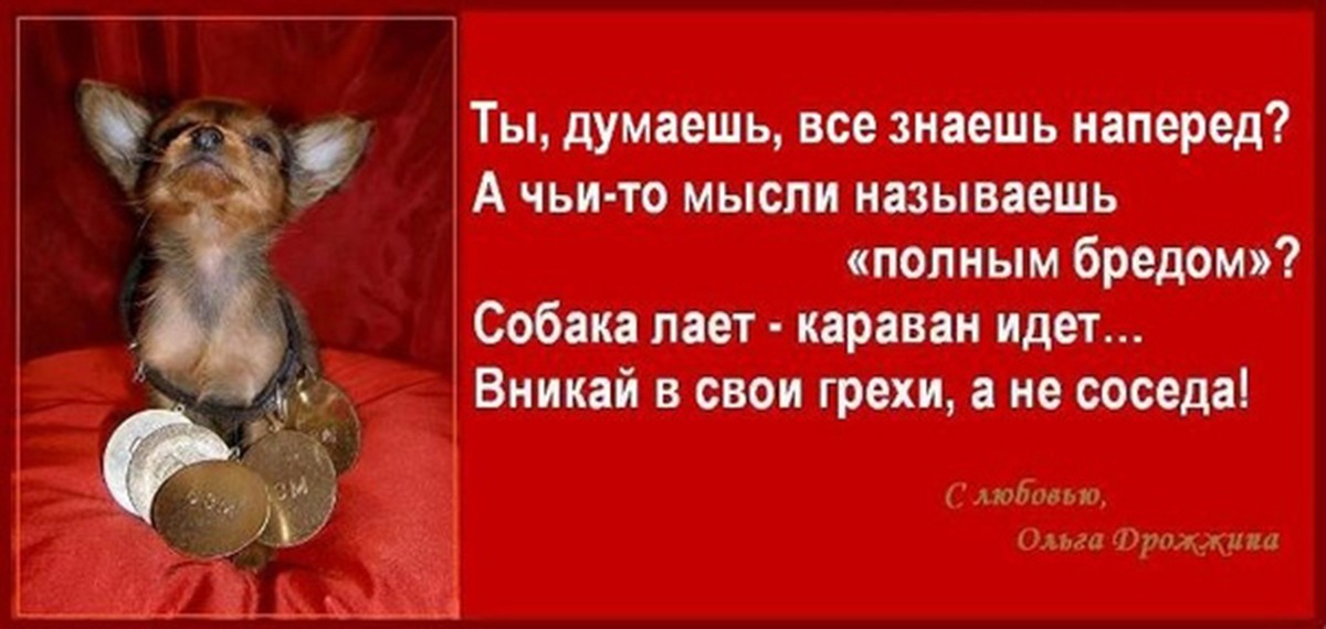 Иллюстрация к публикации