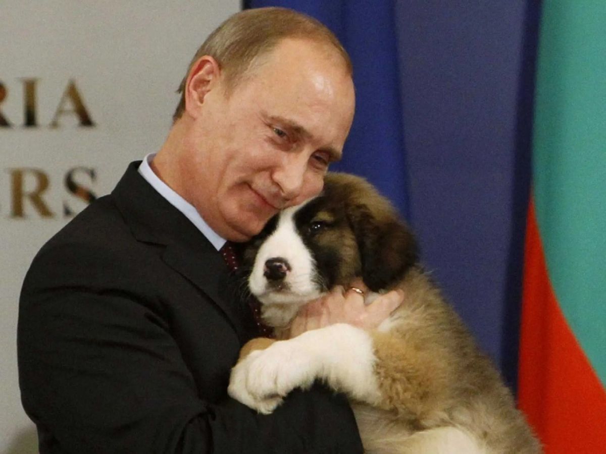 Иллюстрация к публикации