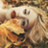 Аватар Екатерина Воронцова