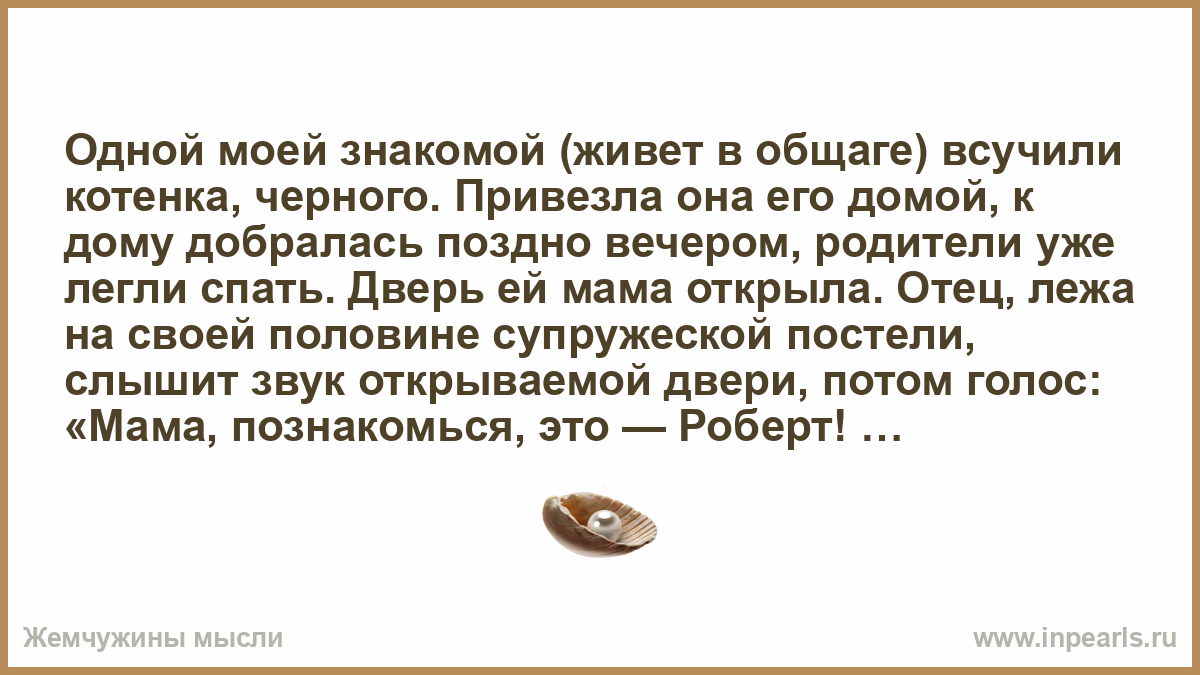 У наших знакомых жила овчарка леда план текста