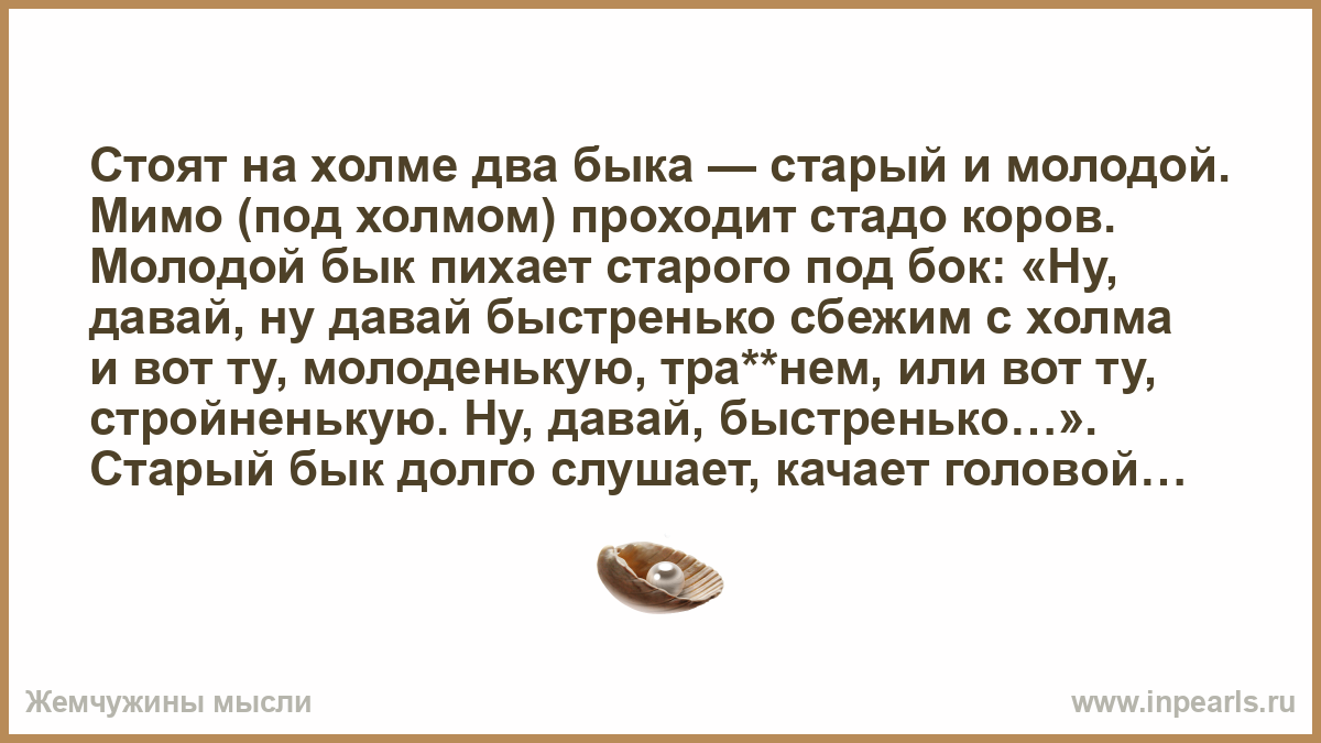 Мы стреляем по холмам текст. Стоят на Холме два быка старый и молодой. Анекдот про старого и молодого быка на Холме. Анекдот про молодого и старого быка и стадо коров.