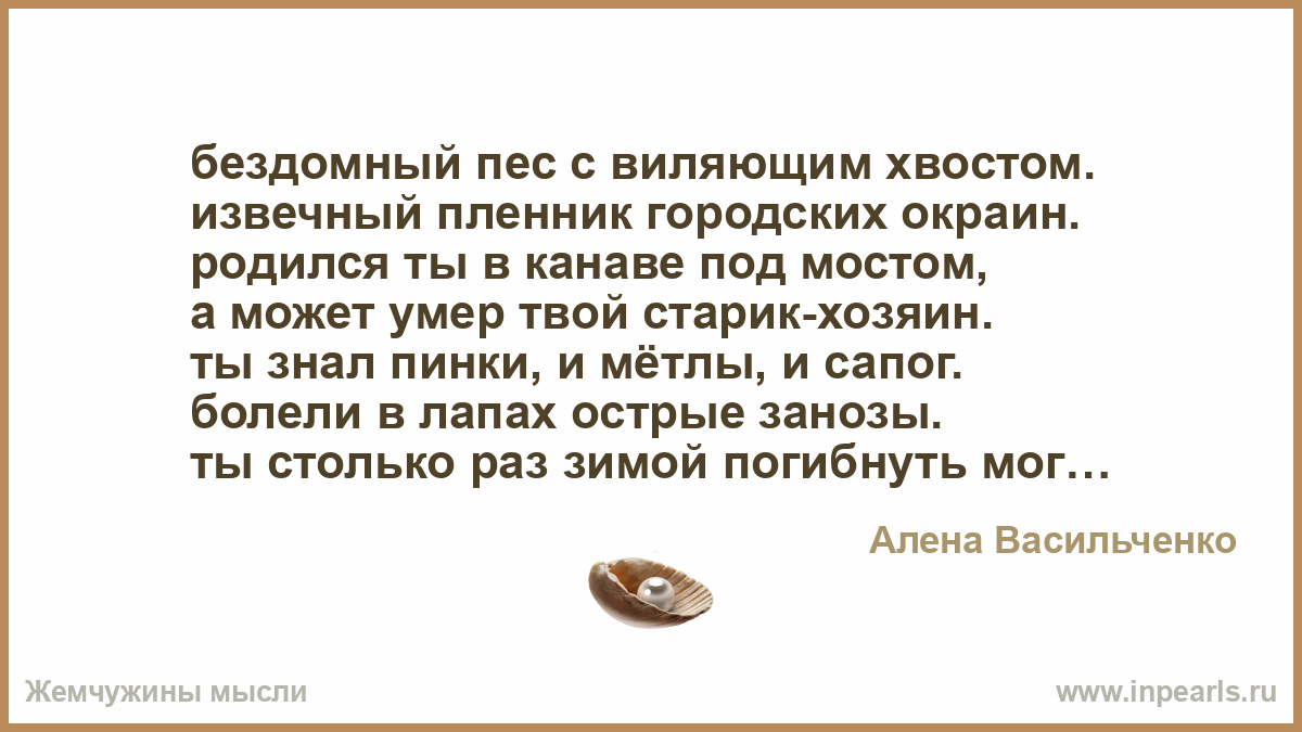 Стих бомжа. Стих вы смотрели бездомной собаке в глаза. Стих про бездомных псов. Стихи про бездомных собак. Стихи про бездомны.