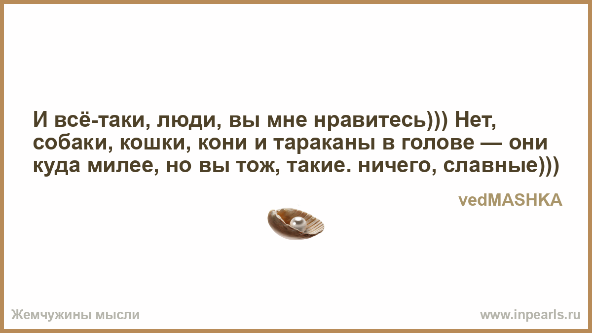 Видящий 5 читать. Жесть-значит,что человек обиделся?.