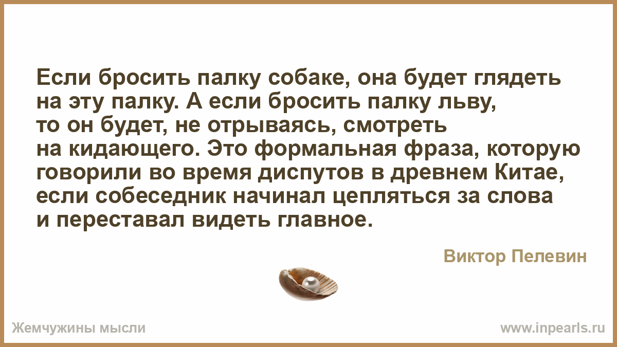 Кинуть палку выражение. Бросить палку. Бросает палку собаке. Что значит кидать палку.