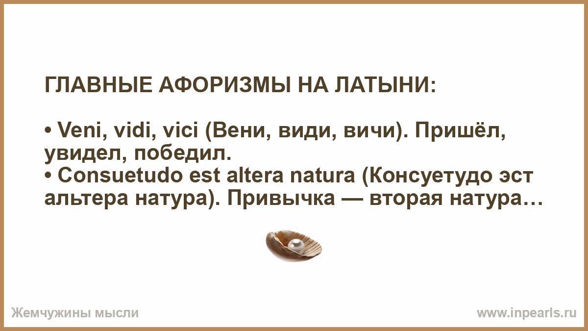 Пацанские цитаты на латыни. Увидел победил поговорка. Пришёл увидел победил картинки. Консуэтудо ЭСТ Альтера натура. Мелочи важны цитаты латынь.